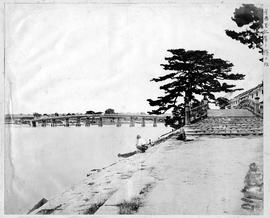 堂嶋玉江橋と蛸の松