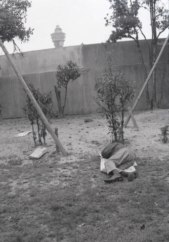 Original デジタルオブジェクト not accessible