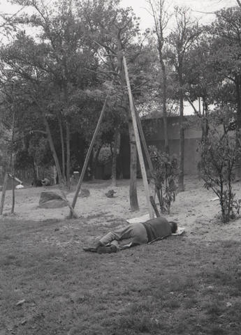 Original デジタルオブジェクト not accessible