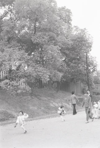 Original デジタルオブジェクト not accessible